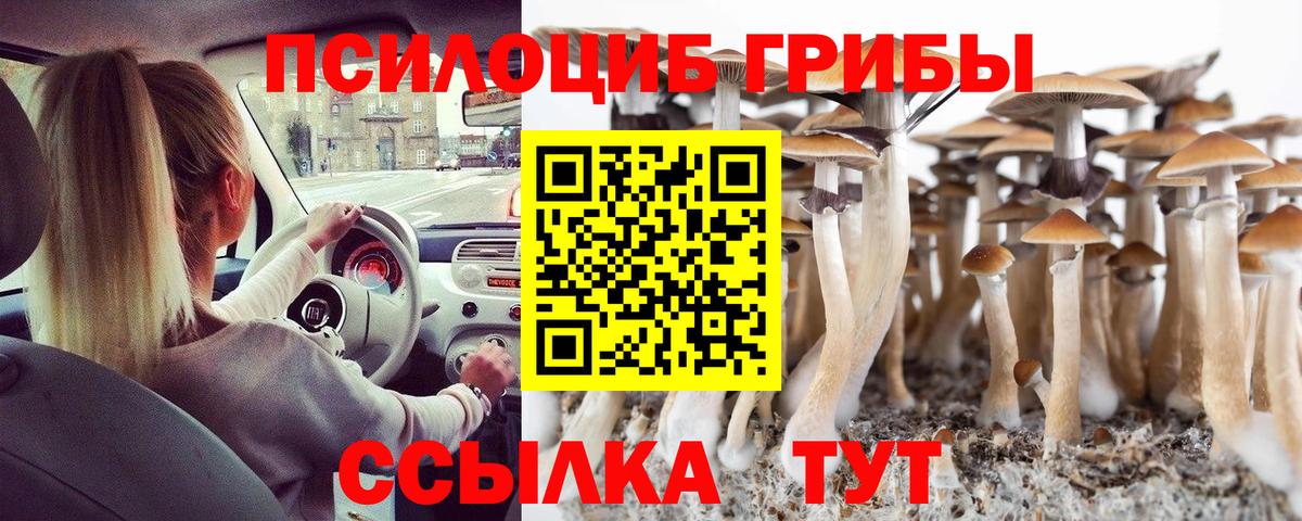 Галлюциногенные грибы прущие грибы Барабинск